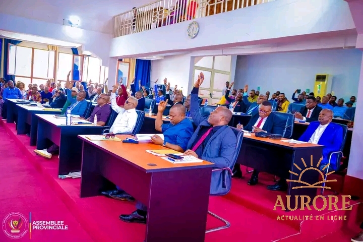 Fraude présumée à l'importation de fer : l'Assemblée provinciale du Kongo Central adopte un rapport accablant