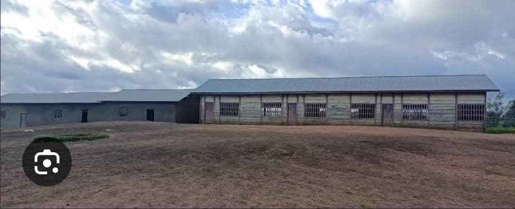 RENTRÉE SCOLAIRE EN ITURI